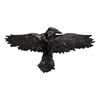 Black Raven Hair Slide