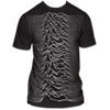 Unknown Pleasures 3