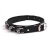 Grouped Ring 71B Belt